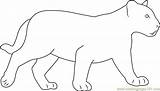 Panther Coloring Baby Coloringpages101 sketch template