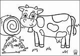 Coloring Pages Kids Animals Cow1 sketch template