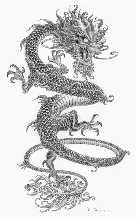 chinese dragon pencil drawings  paintingvalleycom explore