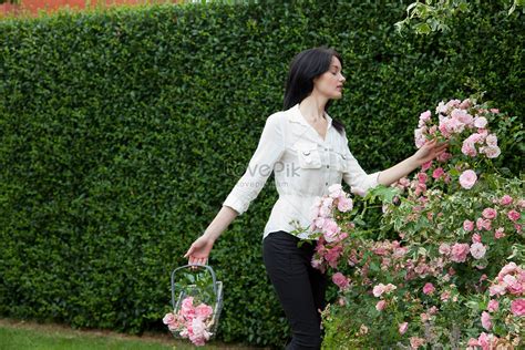 gratis foto wanita memetik bunga  halaman belakang   lovepik