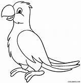 Parrot Coloring Pages Cool2bkids Printable Kids sketch template