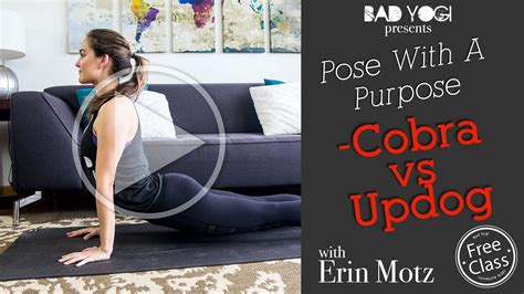 pose   purpose cobra  updog yoga tutorial youtube