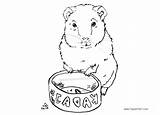 Guinea Pages Coloring Pig Printable Kids Adults sketch template