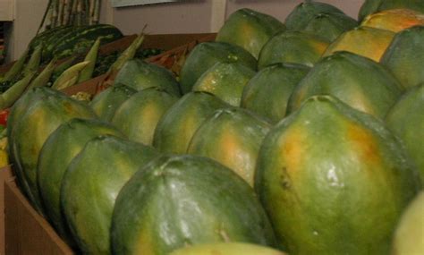 papaya maradol productsmexico papaya maradol supplier