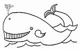 Balena Baleine Balene Albastra Colorat Ballena Imagini Aereos Ballenas Imagui Imagenes Acuaticos Wieloryby Coloriages Aéreos Animais Viven Plage Colorea Mamiferos sketch template