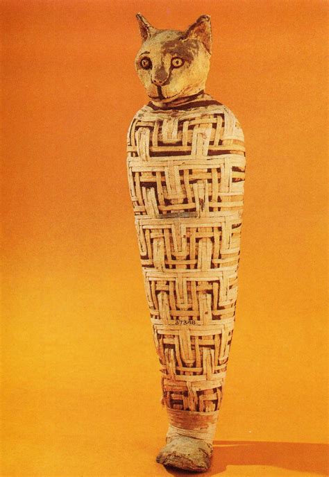 Mummy Of An Egyptian Cat From The British Museum The Pattern Of The