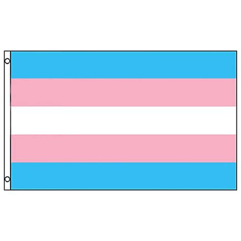Bandera Orgullo Lgbt Transgénero Bisexual Pansexual Lésbico 90x150 🌈