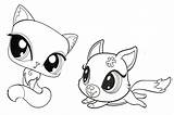 Coloring Pet Pages Shop Littlest Little Draw Pets Copy Easy Printable Kids Animals Drawings Para sketch template