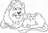 Lion Lamb Clipart Laying Down Clip Drawings Coloring Drawing Lying Pages Line Sketch Hires Pixgood Vector Clipground March sketch template