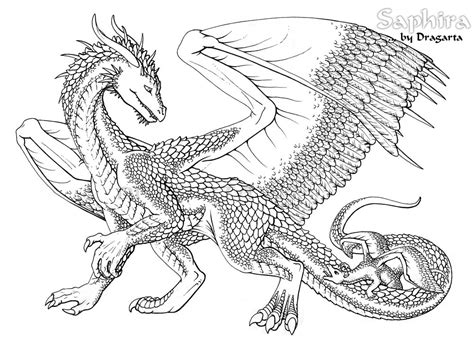 dragon coloring pages  adults    print