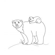 top   printable bear coloring pages