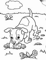 Coloring Pages Dog Puppy Realistic Boxer Baby Dogs Digging Kids Hole Animal Funny Print Color Lab Drawing Colouring Printable Outline sketch template