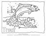 Trout Coloring Fish Rainbow Outline Pages Water Drawing Printable Color Line Animal Koi Splashing Kids Clipart Sheet Lake Getdrawings Goldfish sketch template