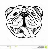 Bulldog Vectorified Clipartmag sketch template