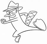 Ferb Phineas Platypus Perry Coloring Pages Drawing Cartoon Drawings Print Kids Color Disney Printable Outline Cool Und Trace Getcolorings Sheets sketch template