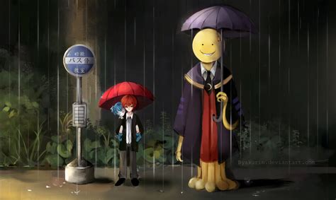 assassination classroom wallpapers  images