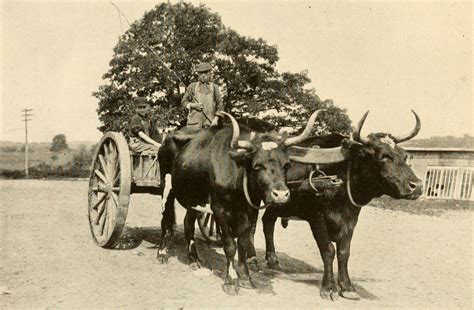 ox yokes madison county historical society