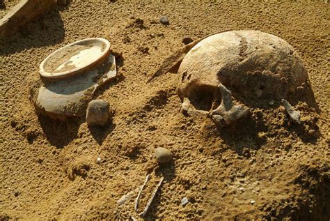 300 year old human bones found in columbia river riverbank