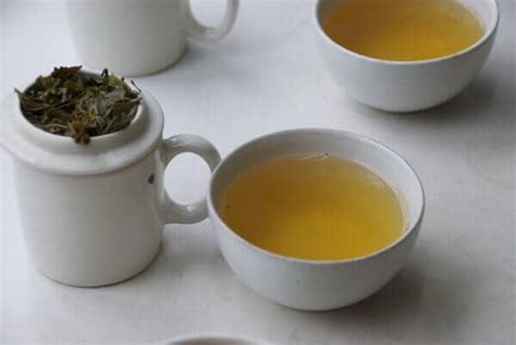 art  tea tasting steamy kitchen recipes