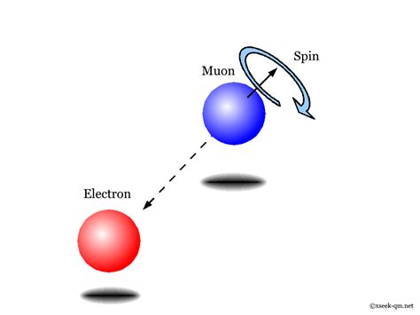 spin  quantum mechanics mysterious world  quantum theory