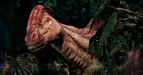 exclusive   meet jurassic world dinosaurs  real life