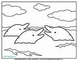 Dolphin Outline Dolphins Outlines sketch template