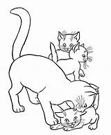 Ausmalbilder Katzenbabys Katzen sketch template