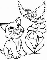 Coloring Pages Kitty Cats Cat Kitten Colouring Printable Color Cute Kids Coloriage Book Animals Spring Kleurplaat Kat sketch template