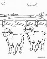 Sheep Coloring Pages Printable Kids Face Cool2bkids Preschool Coloringbay Choose Board Grazing sketch template