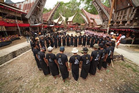 mengenal suku toraja  asal usul hingga tradisi kuatbacacom