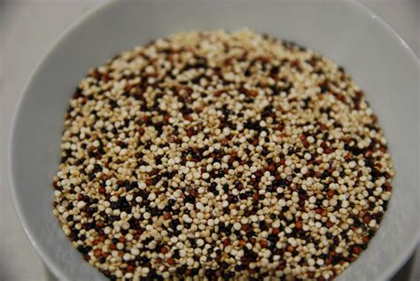 quinoa abcvegan