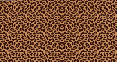leopard print twitter background    desktop mobile tablet