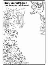 Rainforest Crayola Sloth sketch template