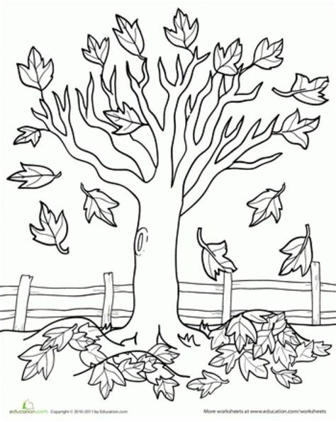 amazing picture  fall tree coloring pages albanysinsanitycom