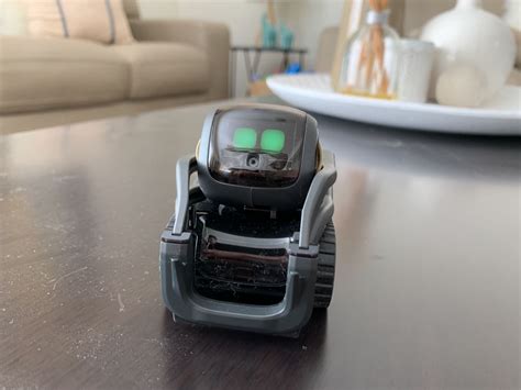 Vector Smart Robot Review Much More Than Just A Toy Tech Guide