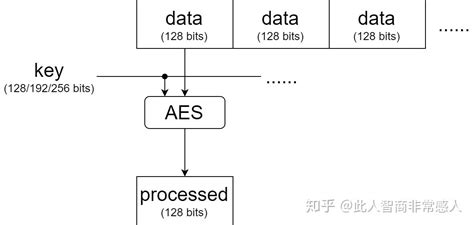 Aes对称密码算法介绍 1 ——aes的内部结构 知乎