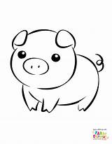 Cerdos Cerdo Dibujar sketch template