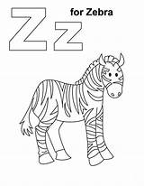 Zebra Coloring Pages Color Drawing Preschool Alphabet Print Getdrawings Choose Board sketch template