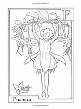 Coloring Flower Fairies Book Mary Pages Alphabet Amazon Fairy Colouring Cicely Barker Livres Books sketch template