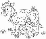 Calf Veau Kuh Ausmalbild Vache Vaquinha Colorir Vitello Mucca Milking Cows Matar Lilla Kalv Hennes Prickig Kälbchen Gefleckte Vaca Ternero sketch template
