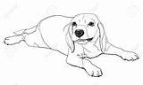 Coloring Dog Information sketch template