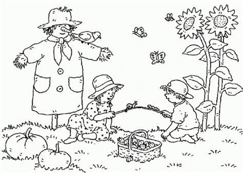 garden coloring page images  kids coloring home