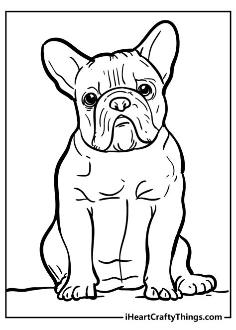 english bulldog coloring page ultra coloring pages images