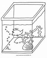 Aquarium Fische Ausmalen Ausmalbild Fisch Malvorlage Kostenlose Zeichnen Dein sketch template