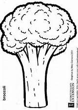Coloring Pages Broccoli Kids sketch template