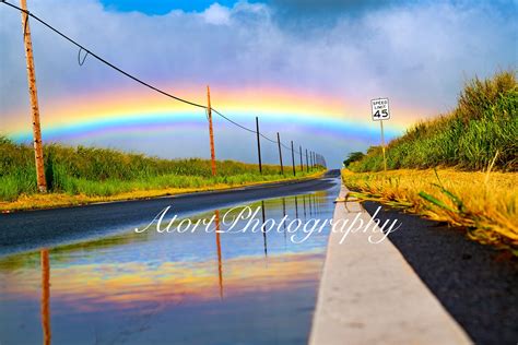 rainbow road atort photography