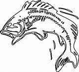 Bass Coloring Pages Largemouth Getcolorings Fish Jumping sketch template