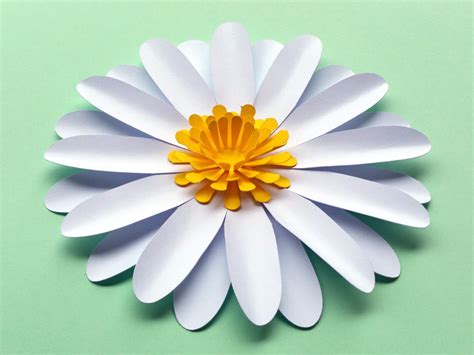 template  daisy flower