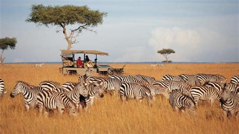 kenya   country   awarded safer tourism seal capital business