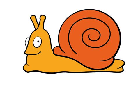 adobe illustrator cartoon snail tutorial illustration info clipart